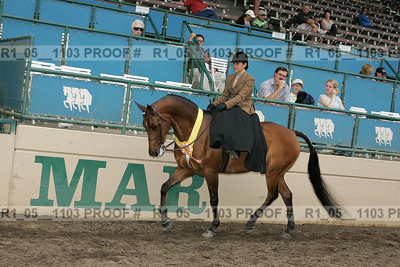 Proof Number r1_05__1103