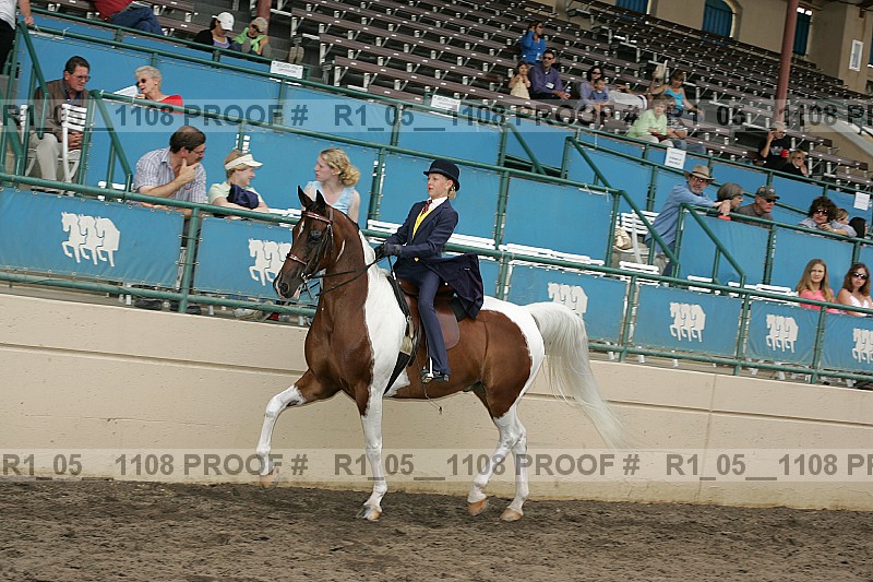 Proof Number r1_05__1108
