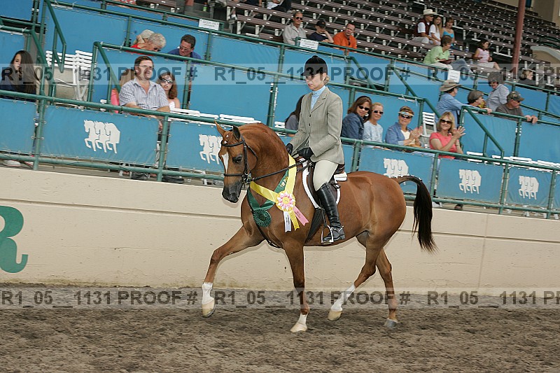 Proof Number r1_05__1131