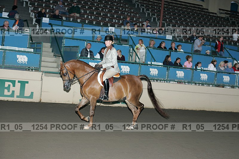 Proof Number r1_05__1254