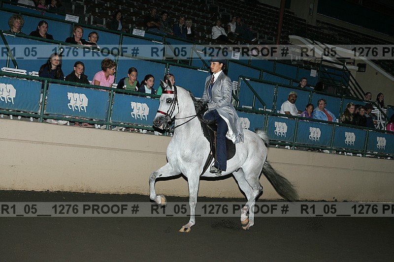 Proof Number r1_05__1276