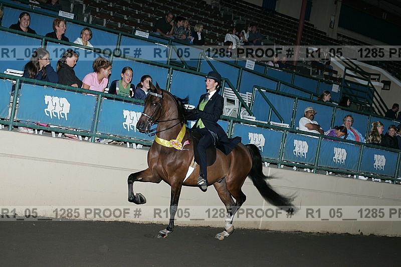 Proof Number r1_05__1285