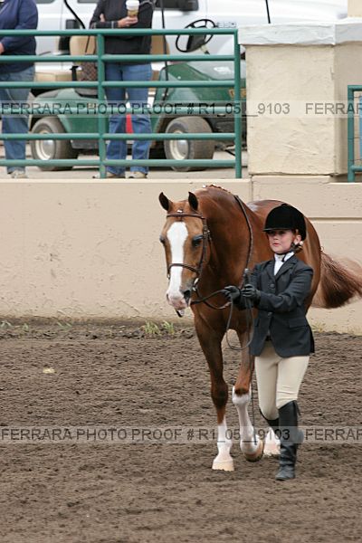 Proof Number r1_05__9103