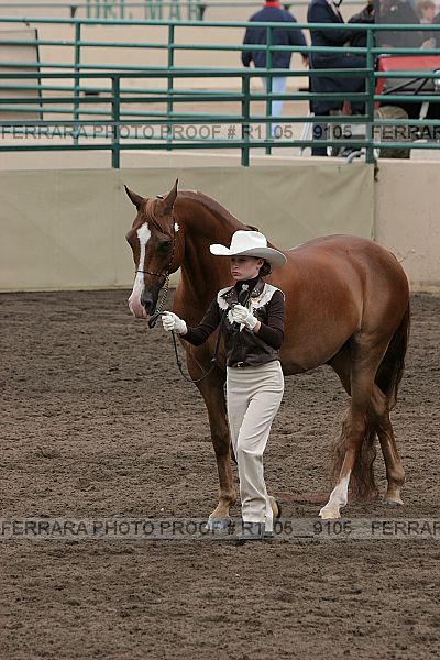Proof Number r1_05__9105
