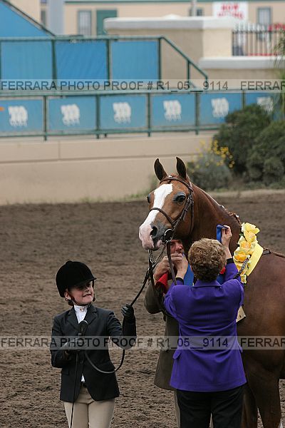 Proof Number r1_05__9114