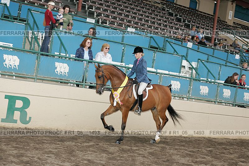 Proof Number r1_05__1493