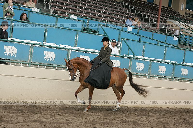 Proof Number r1_05__1605