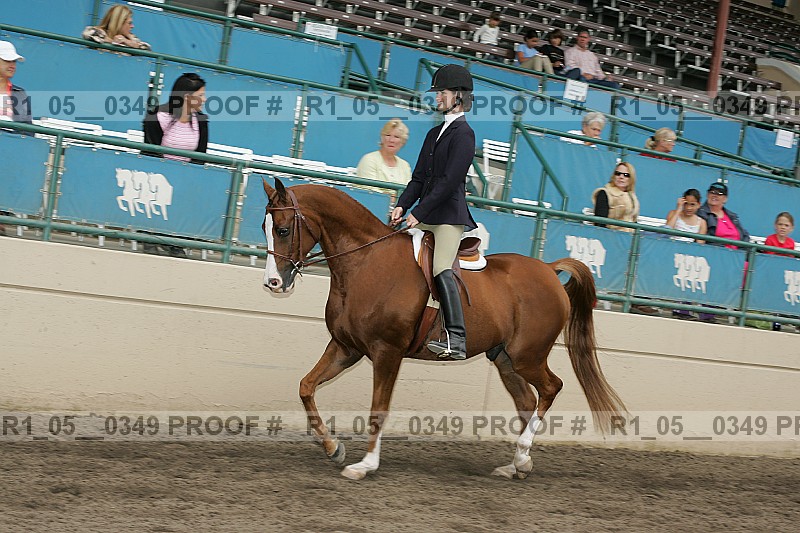 Proof Number r1_05__0349