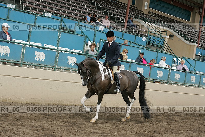 Proof Number r1_05__0358