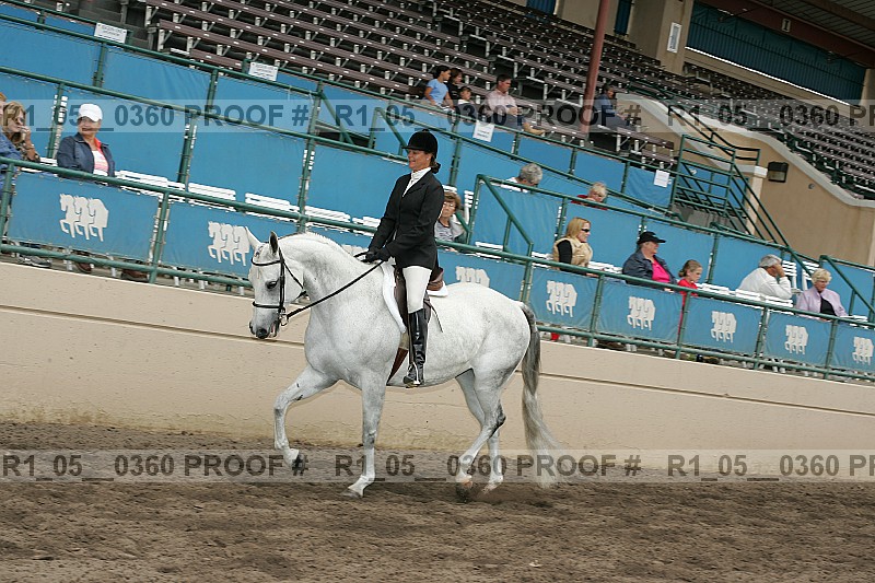 Proof Number r1_05__0360