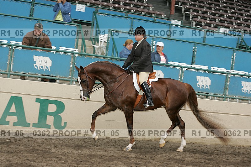 Proof Number r1_05__0362