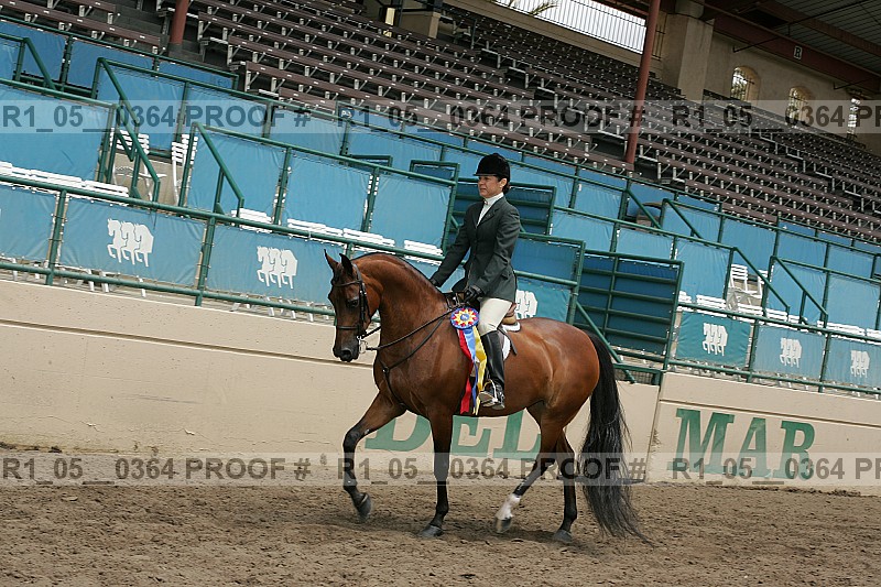 Proof Number r1_05__0364