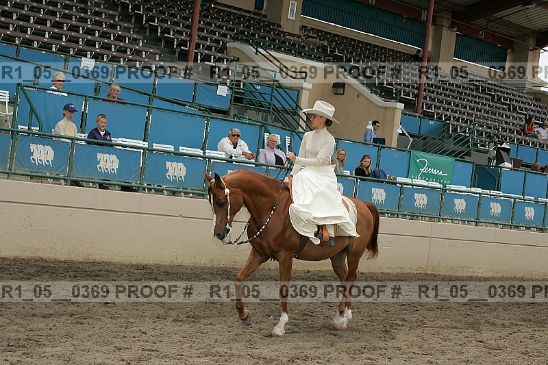 Proof Number r1_05__0369