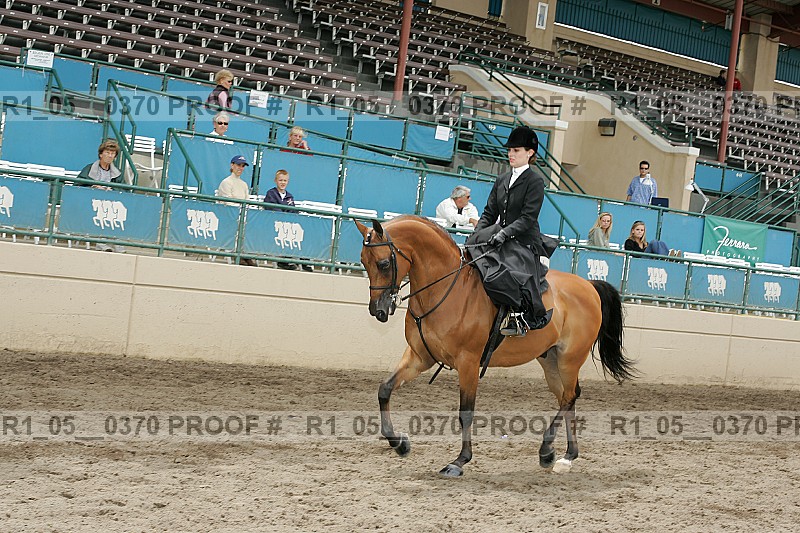 Proof Number r1_05__0370