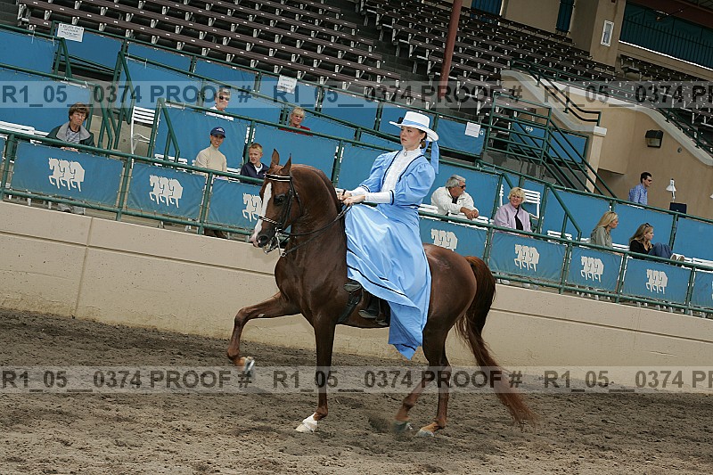 Proof Number r1_05__0374