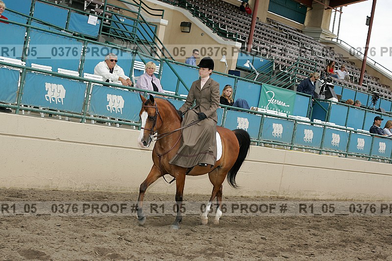 Proof Number r1_05__0376