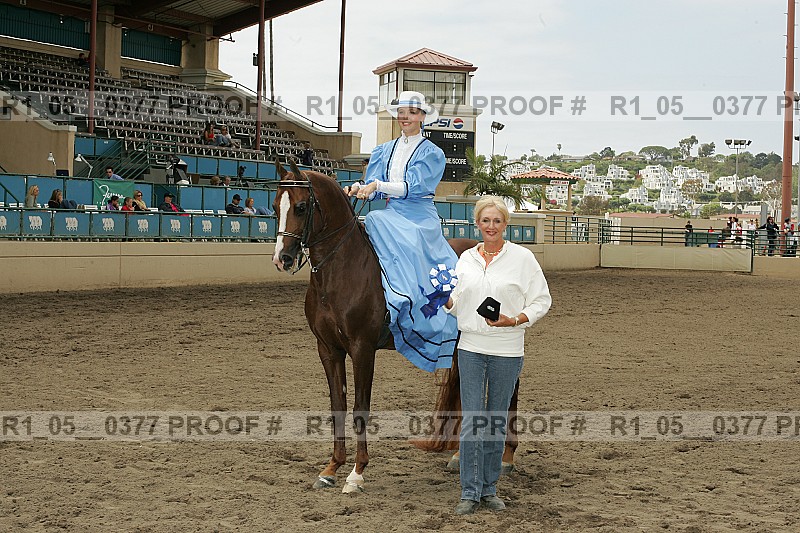 Proof Number r1_05__0377