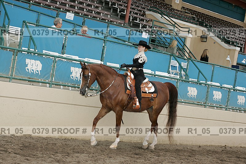 Proof Number r1_05__0379