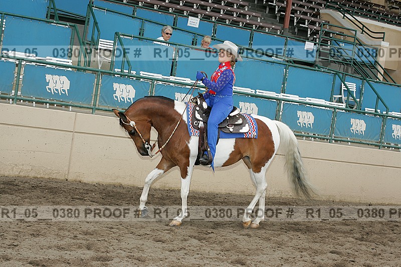 Proof Number r1_05__0380