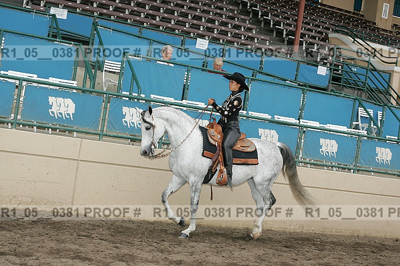 Proof Number r1_05__0381