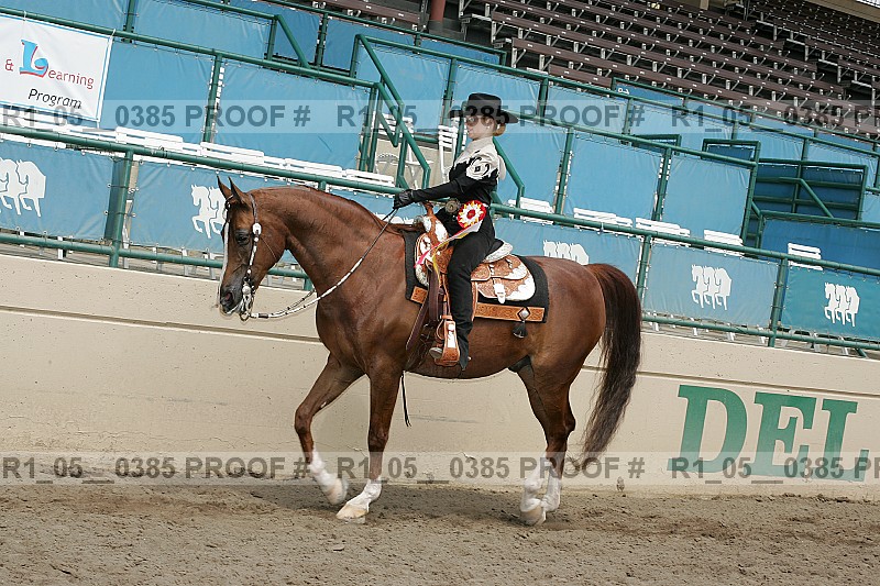 Proof Number r1_05__0385