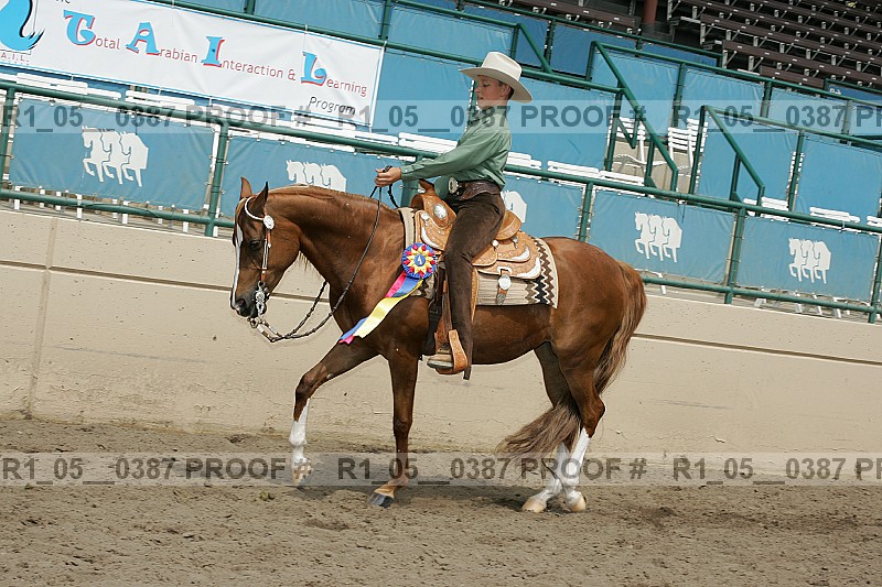 Proof Number r1_05__0387