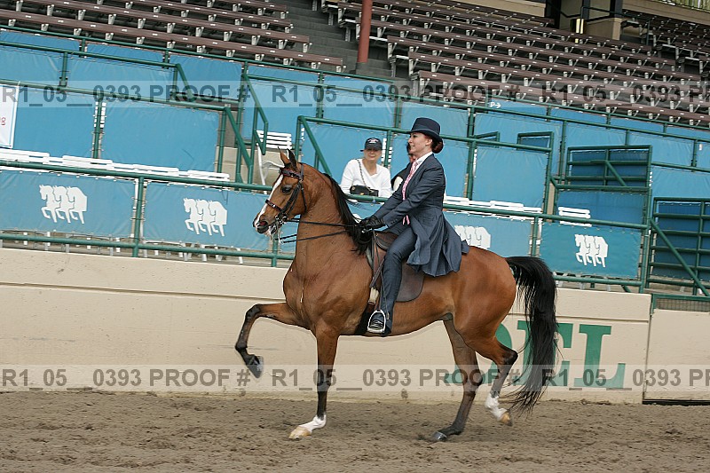 Proof Number r1_05__0393