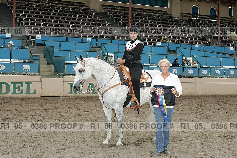 Proof Number r1_05__0396