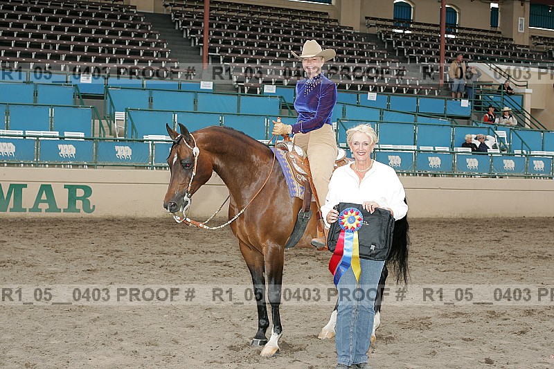 Proof Number r1_05__0403