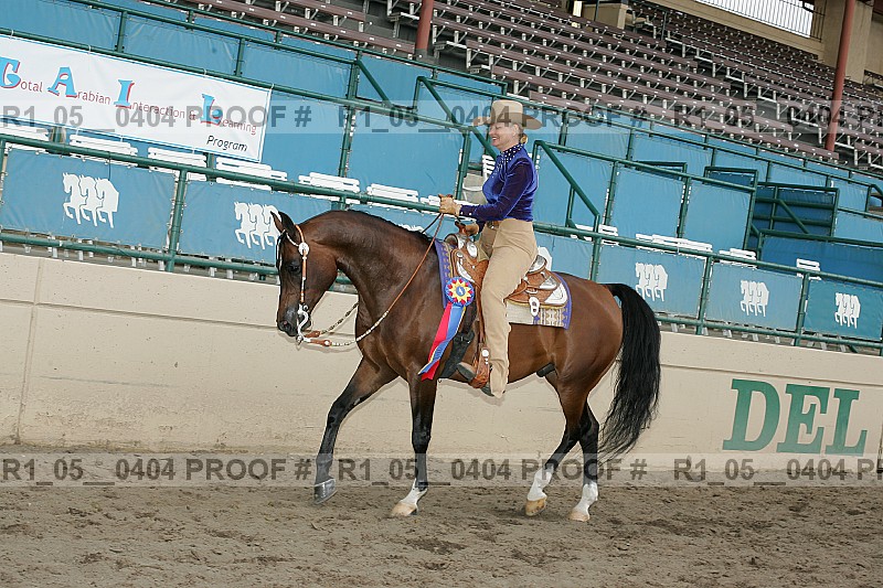 Proof Number r1_05__0404
