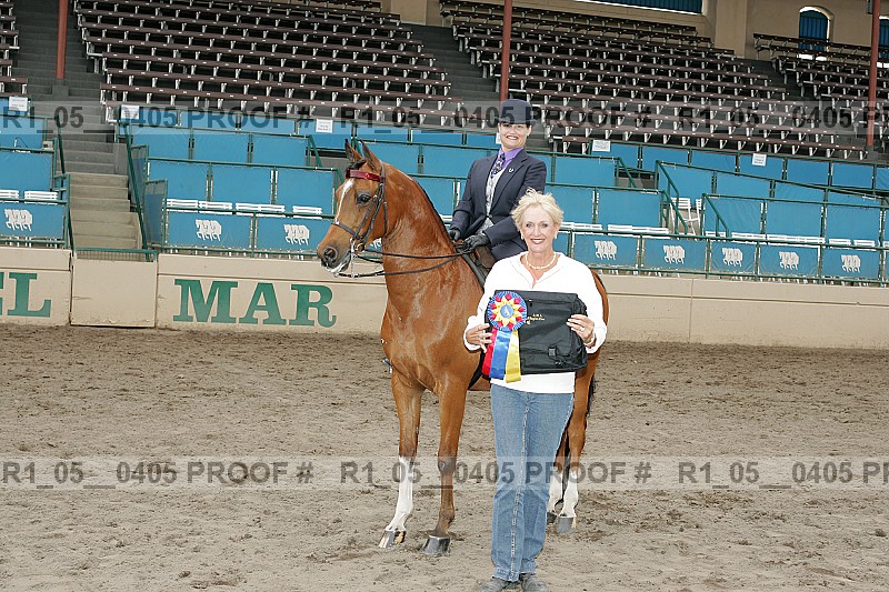 Proof Number r1_05__0405