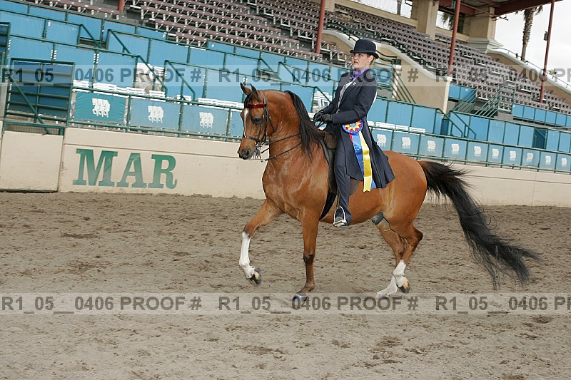 Proof Number r1_05__0406