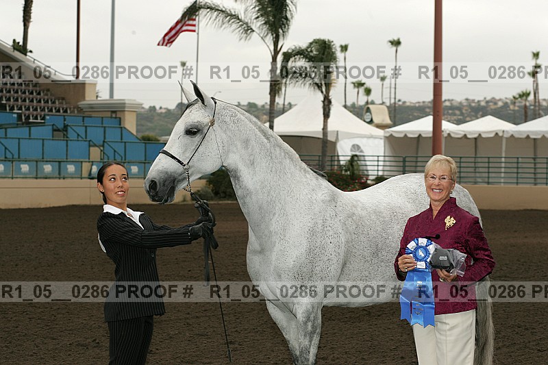 Proof Number r1_05__0286