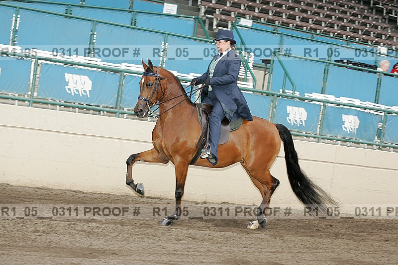 Proof Number r1_05__0311