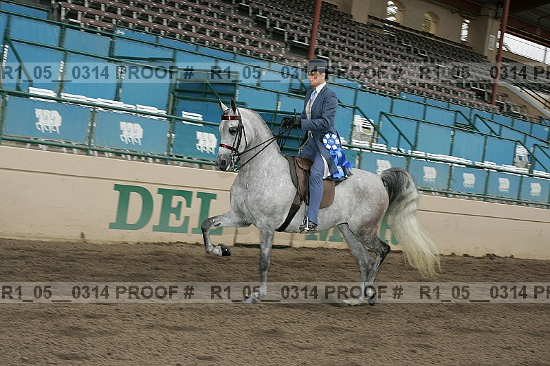 Proof Number r1_05__0314