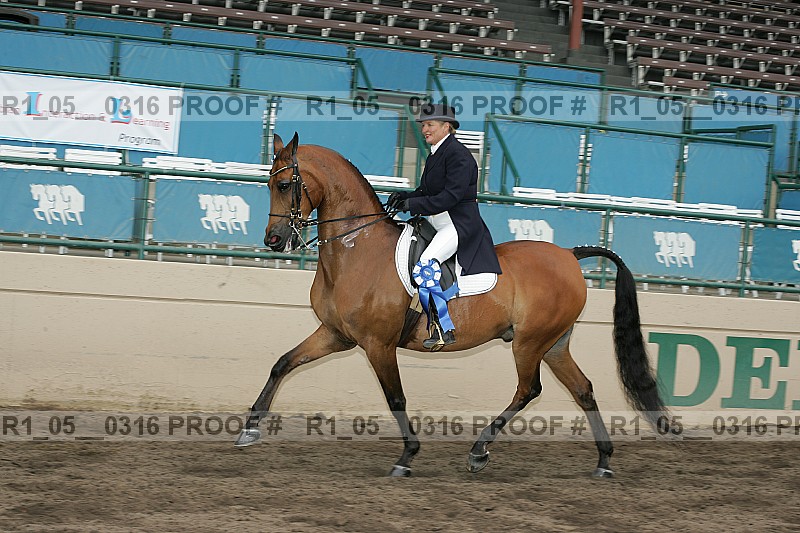 Proof Number r1_05__0316