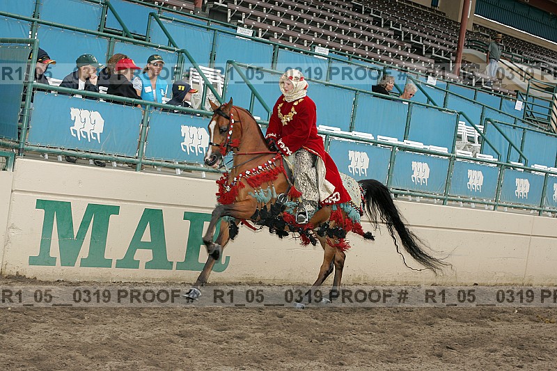 Proof Number r1_05__0319