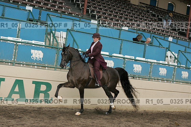 Proof Number r1_05__0325