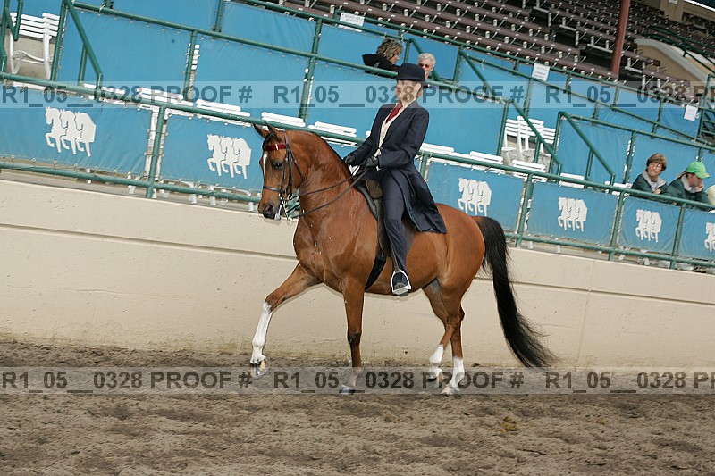 Proof Number r1_05__0328