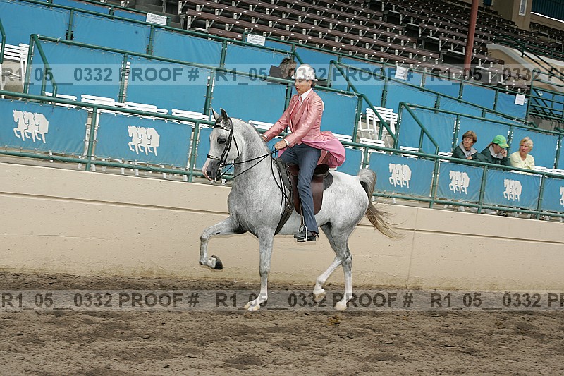 Proof Number r1_05__0332