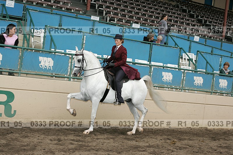 Proof Number r1_05__0333