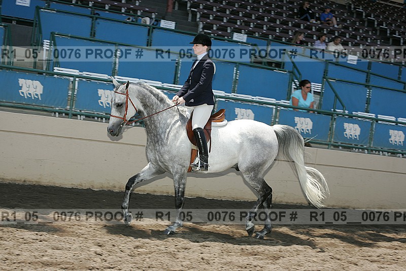Proof Number r1_05__0076