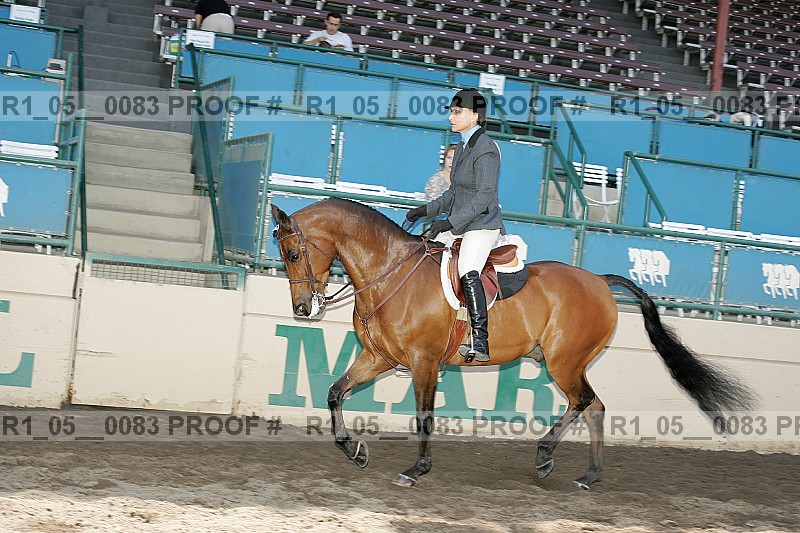 Proof Number r1_05__0083