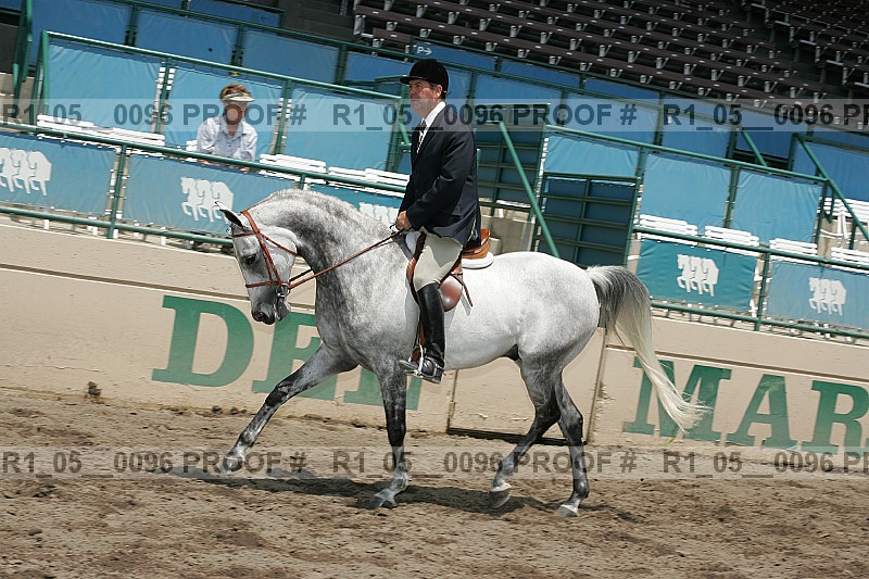 Proof Number r1_05__0096