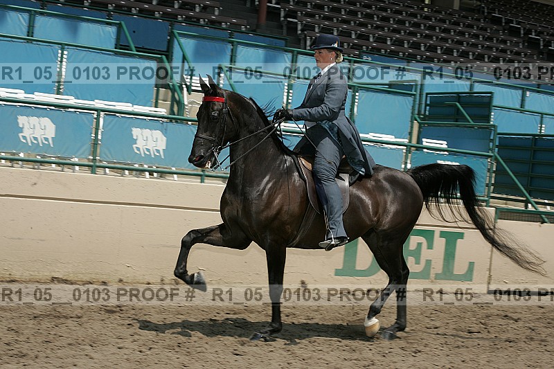 Proof Number r1_05__0103