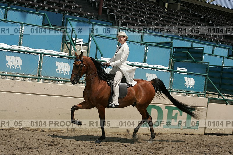 Proof Number r1_05__0104