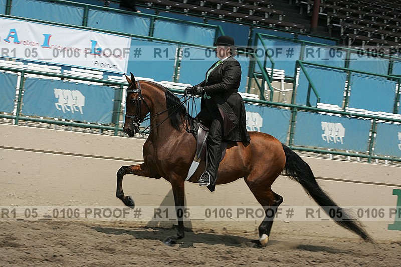 Proof Number r1_05__0106