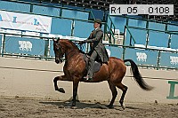 Proof Number r1_05__0108