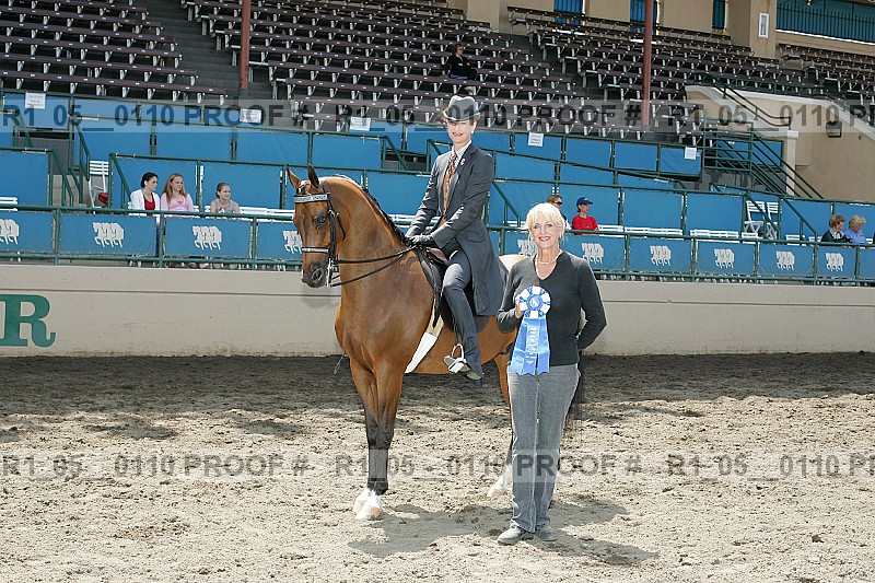 Proof Number r1_05__0110
