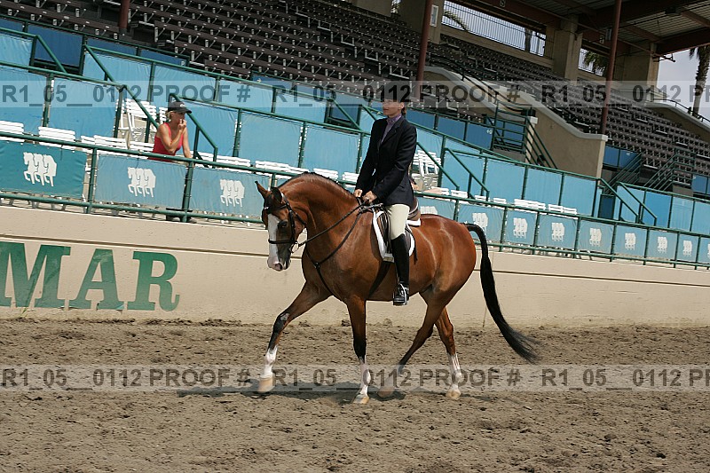Proof Number r1_05__0112